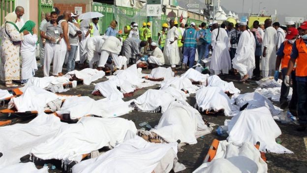Saudi King orders safety review for Hajj pilgrimage  - ảnh 1